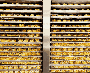 pâtes maison 100% française pâtes maison 100% française